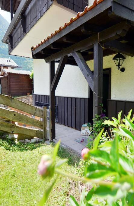 Ferienwohnung Ivanka Mit Garten 施利尔塞 外观 照片